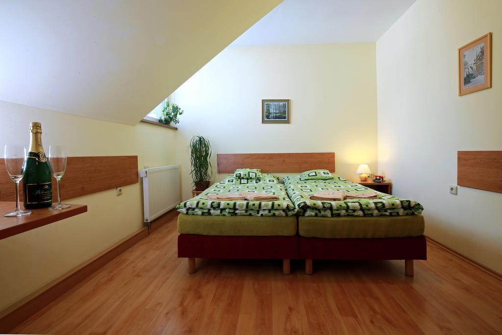 Wellness Penzion Pod Rozhlednou Kostelec nad Orlicí Rum bild